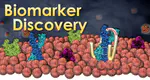 Research on Bioinformatics Methods for Integrating Multi-level Omics Data to Discover Complex Disease Biomarkers,  National Natural Science Foundation of China (NSFC) (NO. 61973190), Participant