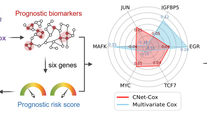 CNet-Cox for interpretable network biomarker discovery and survival risk scoring in precise breast cancer prognosis