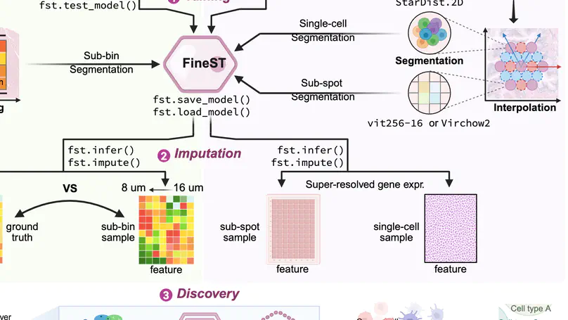 FineST: Contrastive learning integrates histology and spatial transcriptomics for nuclei-resolved ligand-receptor analysis