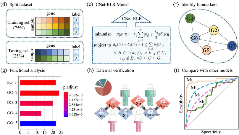 A connected network-regularized logistic regression model for feature selection