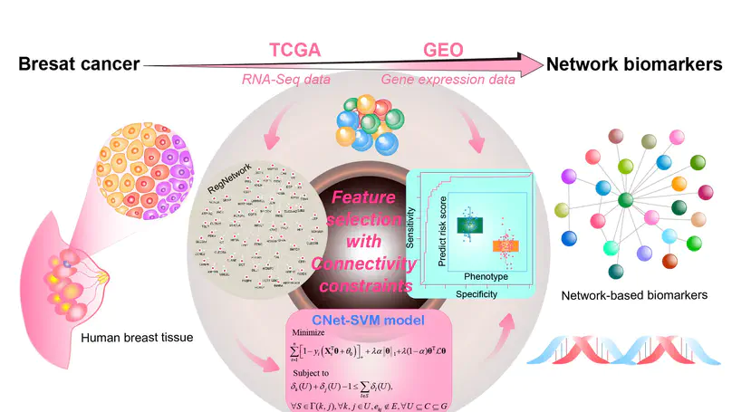 Biomarker discovery from high-throughput data by connected network-constrained support vector machine