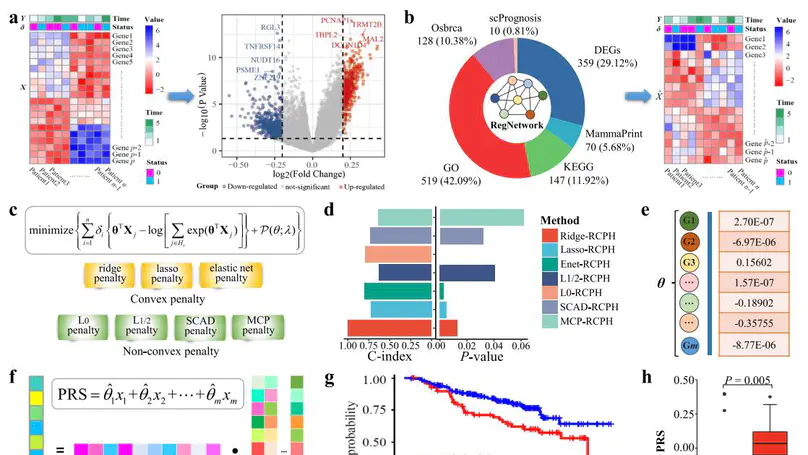 Detecting prognostic biomarkers of breast cancer by regularized Cox proportional hazards models