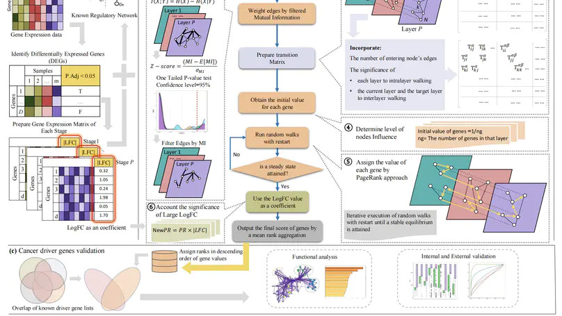 NetWalkRank: Cancer driver gene prioritization in multiplex gene regulatory networks by a random walk approach