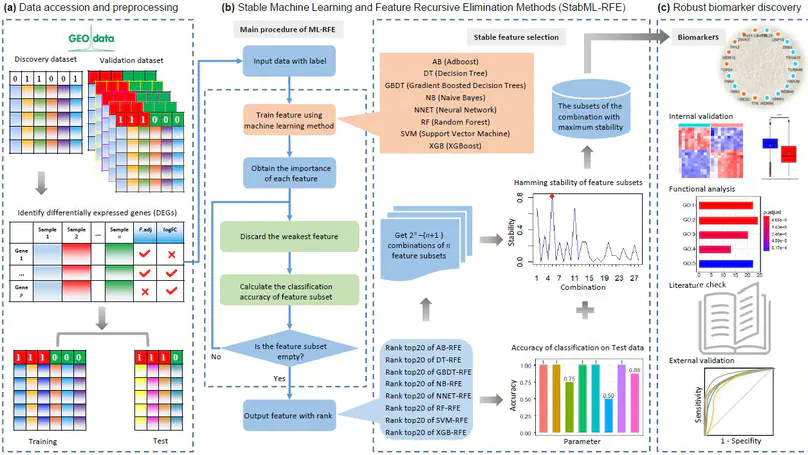 Robust biomarker screening from gene expression data by stable machine learning-recursive feature elimination methods
